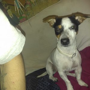 Meet your Posher, Mike